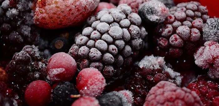 cristais de gelo nos alimentos