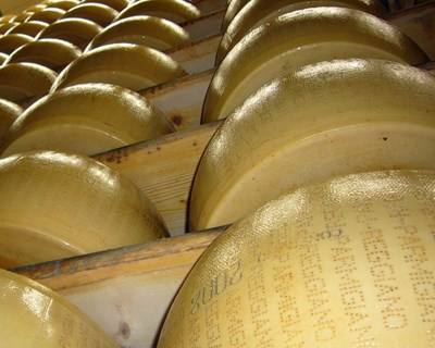 29º World Cheese Awards chega em novembro a San Sebastián