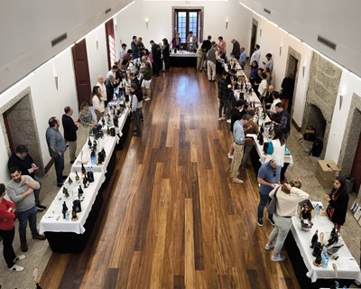 35 sommeliers internacionais de visita ao Dão para conhecerem em detalhe os vinhos da região