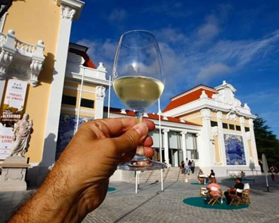 5ª edição do Alvarinho Wine Fest está a chegar