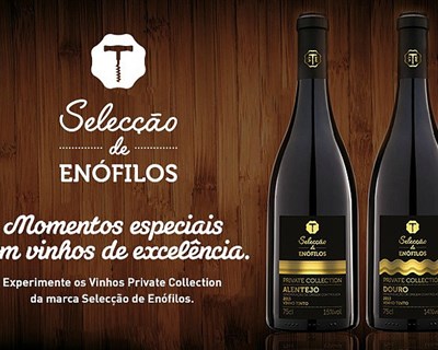 7 vinhos exclusivos do Intermarché premiados internacionalmente