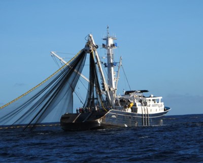 A urgente pesca sustentável