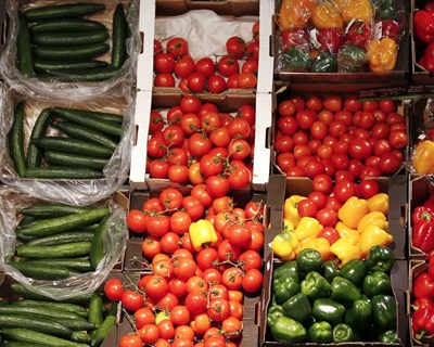 Agroalimentar: potencialidades de Castelo Branco na TECHDAYS Aveiro