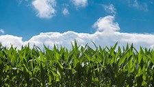 Agroglobal regressa em setembro com os olhos na geopolítica