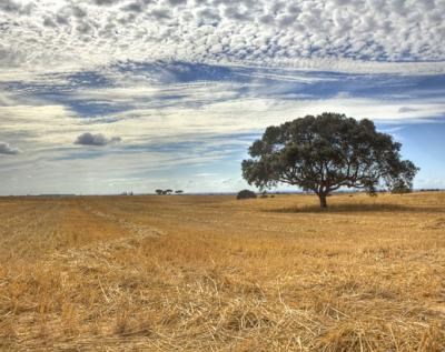 Alentejo 2020: Aprovado investimento de €1,1 milhões para dois novos projetos