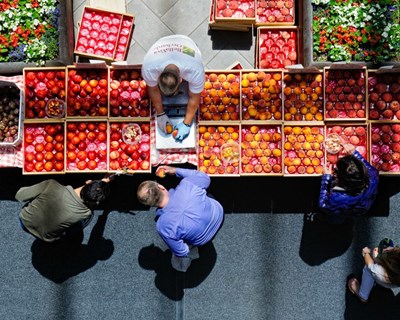 Alterações climáticas e esgotamento dos solos enfraquecem sistemas alimentares