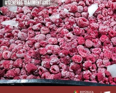 ASAE apreende 27 toneladas de produtos alimentares em entrepostos de frio