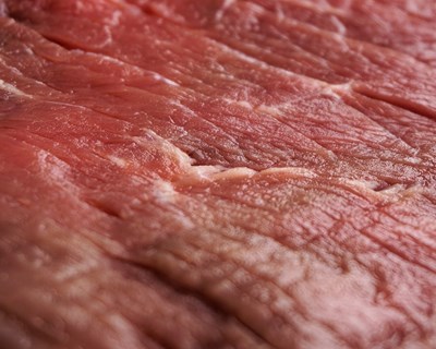 ASAE apreende 9 toneladas de carne imprópria para consumo num entreposto frigorifico ilegal - operação HAZARD