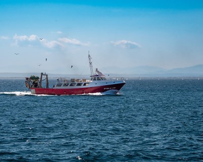 ASAE apreende mais de 5 toneladas de produtos da pesca congelados