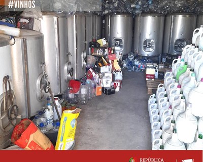 ASAE apreende quase 7 mil litros de vinho em Benavente