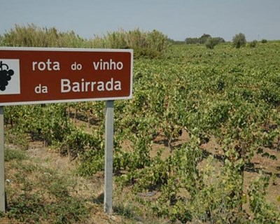 Bairrada desce a Lisboa e “instala-se” no Mercado da Ribeira a 23 de março