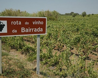 ‘Bairrada no Porto’ no Palácio do Freixo