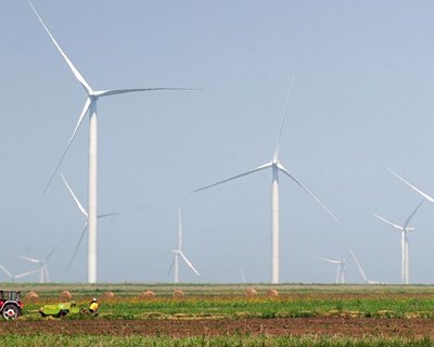 Beja é palco de workshop sobre eficiência energética em cooperativas alimentares