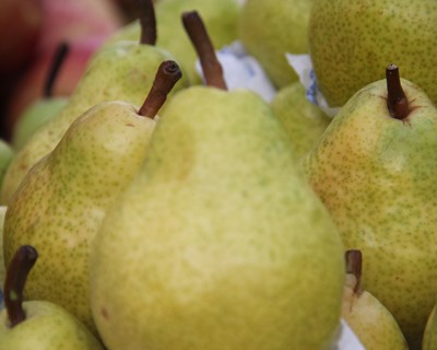 Berlim: empresas portuguesas em feira do agroalimentar em Berlim