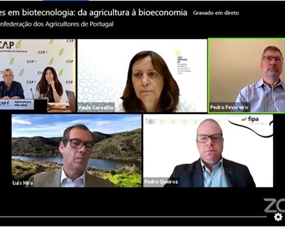 Biotecnologia pela Sustentabilidade