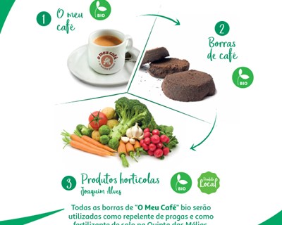 Borras de café das cafetarias das lojas Auchan fertilizam solos dos produtores locais parceiros