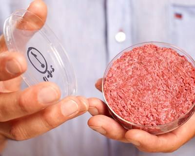 Indústria da Carne é o destaque na edição nº 4 da TecnoAlimentar