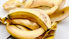 Casca de banana usada em snack fermentado é novo alimento na UE