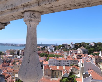 Cascais recebe Cimeira Mundial dos Serviços de Gestão de Pragas para a Saúde Pública e Segurança Alimentar