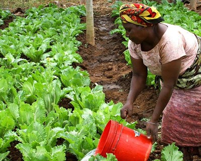 Centro de Formação promove a Agroecologia na CPLP