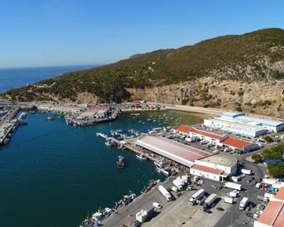 Certificada gestão da segurança alimentar das lotas de Sagres e Sesimbra