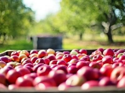 Coimbra recebe conferência anual “Agrifood”