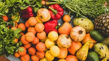 Colóquio hortofrutícola em Odemira a 18 de julho