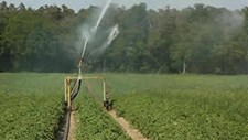 Congresso Ibérico de AgroEngenharia de 21 a 23 de julho