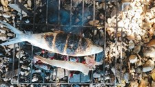 Consumo de pescado selvagem e de aquacultura: riscos e benefícios
