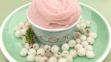 COSI transforma camarinha e murta em gelados artesanais de edição limitada