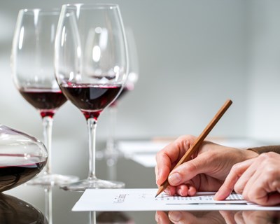 Curso sobre marketing e promoção do vinho em Lisboa