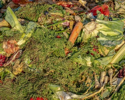 Desperdício alimentar: Estratégias para a sua minimização