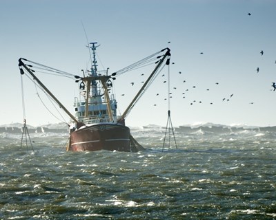 Dez curiosidades sobre agricultura e pesca na UE