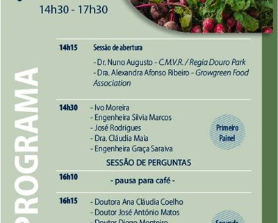 E depois da Covid-19? Desafios e potencialidades no setor agroalimentar