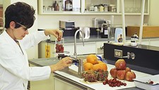 EFSA apoia PME nos pedidos de novos alimentos