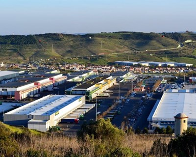 Em Loures acaba de nascer uma incubadora agroalimentar e logística