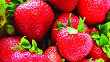 Redução do desperdício: entre a abundância e a urgência de equilibrar as necessidades alimentares