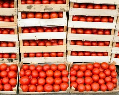 Especialistas antecipam futuro da cadeia alimentar