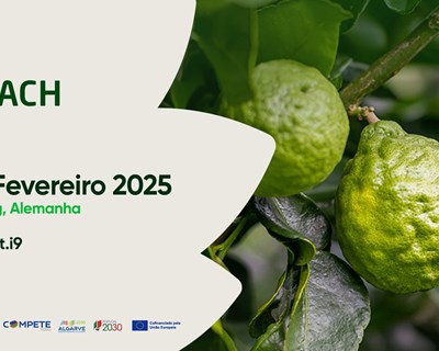 Abertas inscrições para a BIOFACH 2025