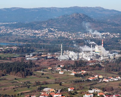 Fábrica de Papel da DS Smith em Viana do Castelo celebra 50 anos