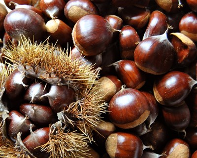 Feira do Mel e da Castanha regressa à Lousã