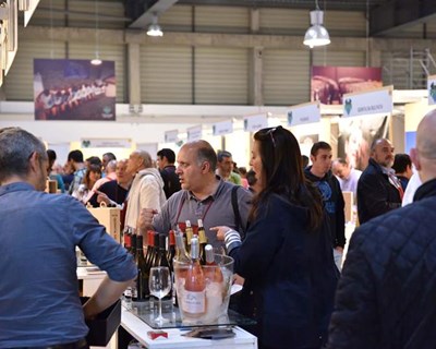 Festival do Vinho do Douro Superior em Vila Nova de Foz Côa