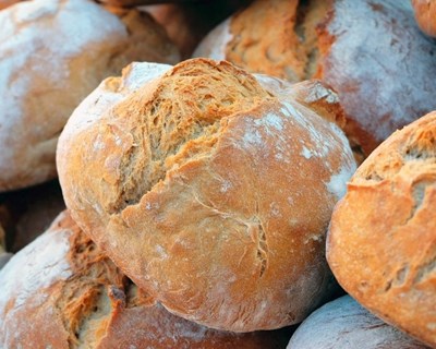 Festival Pão de Portugal apresenta variedades de todo o País em Albergaria-a-Velha