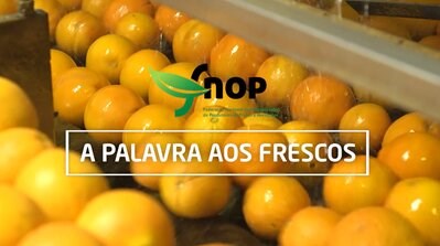 FNOP relança rubrica "A Palavra aos Frescos"