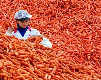 França: nova lei vai proibir que supermercados deitem fora produtos alimentares