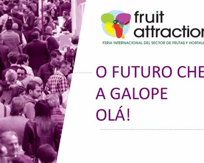 Fruit Attraction cria marketplace e rede digital para a nova edição