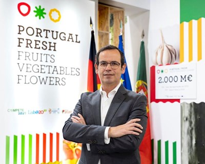 Gonçalo Santos Andrade reeleito presidente da Portugal Fresh