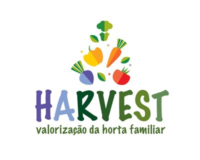 HARVEST: Projeto do MORE CoLAB quer semear o futuro da Dieta Mediterrânica – uma horta familiar de cada vez