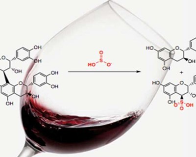 Impressão digital química da vinha e do vinho - História e Arte