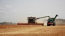 Estudo: indústria alimentar é responsável por um terço das emissões de GEE